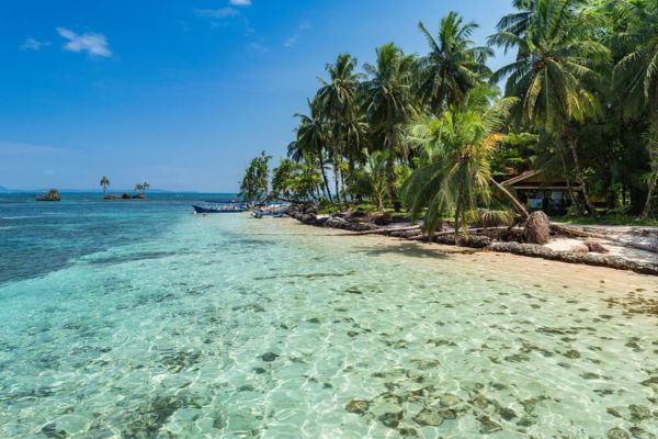 Raridades Tropicais para Celebrar Votos de Casamento