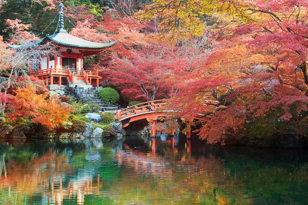 5 Destinos Exóticos no Japão Tropical